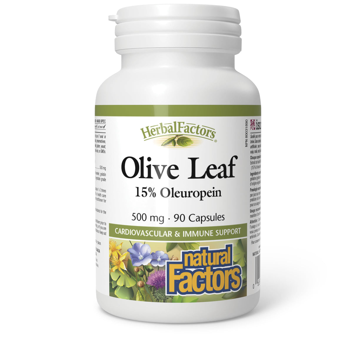 Natural Factors Olive Leaf bottle with 500 mg extract for immune support possibilities