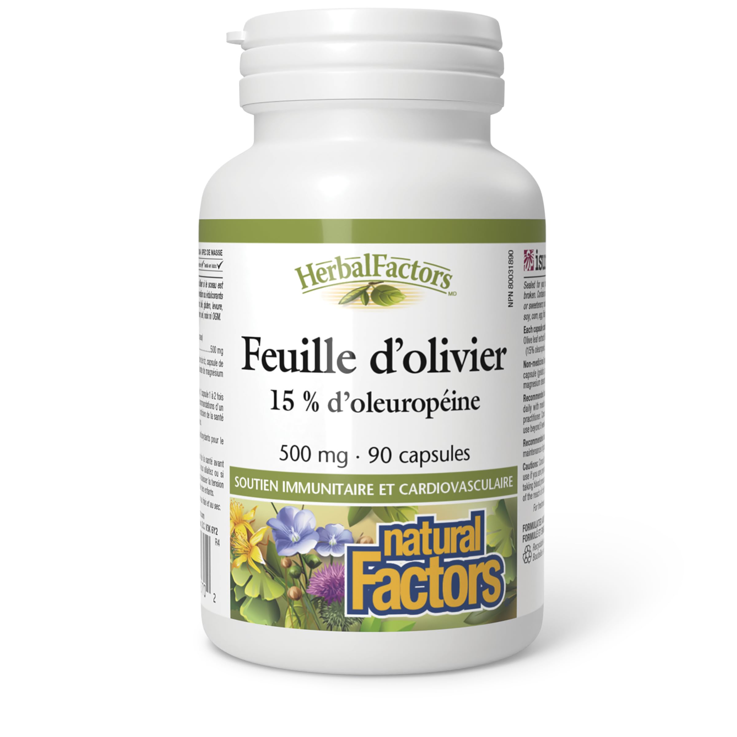 Natural Factors Olive Leaf capsules ready for daily antioxidant and heart health support