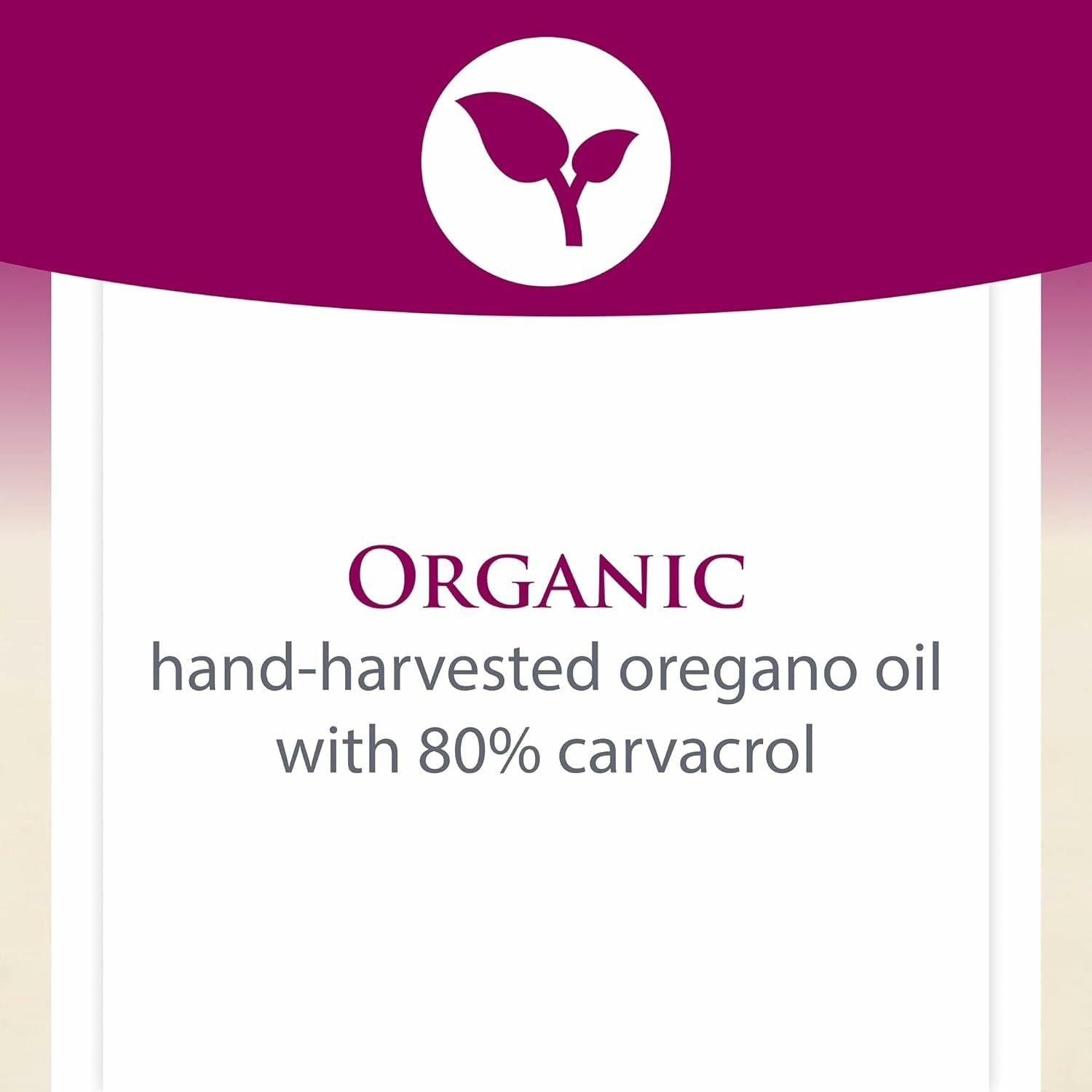 Natural Factors organic olive oil blend bottle improving absorption.