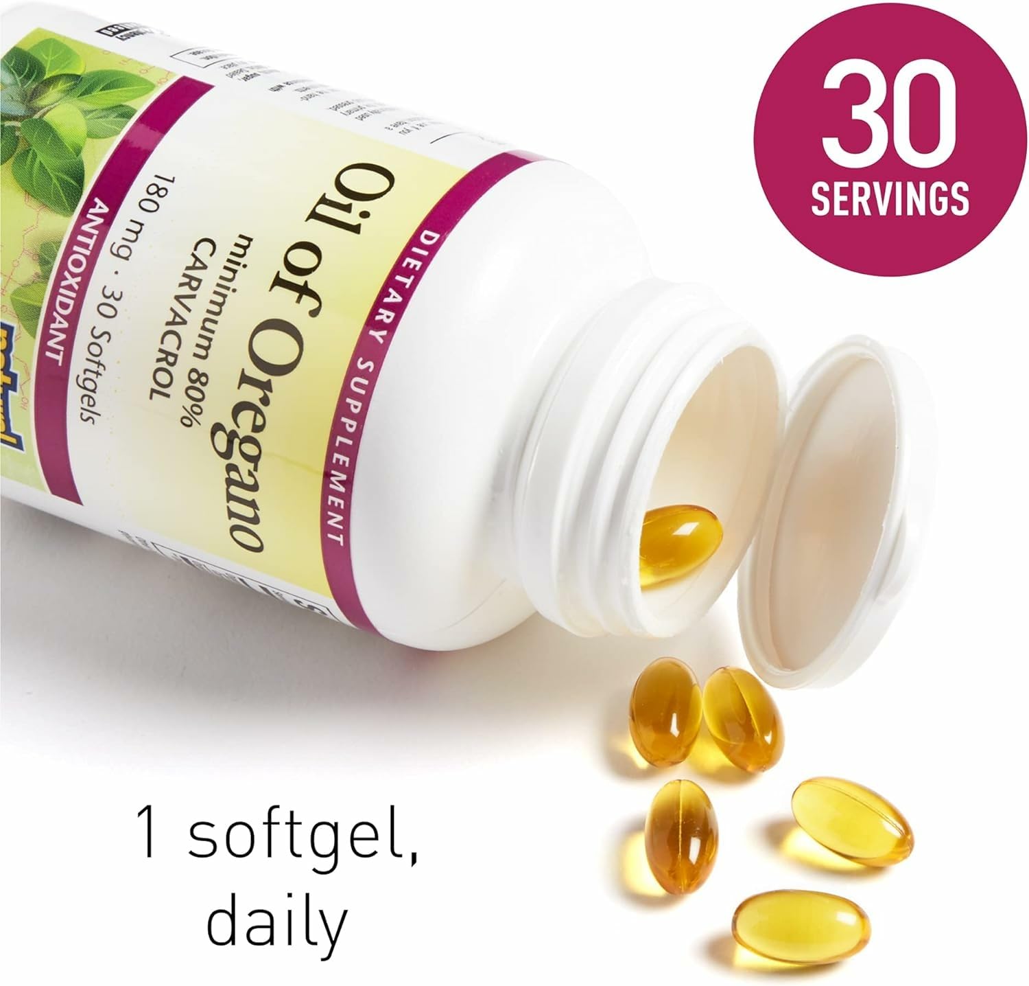 Natural Factors oregano leaves close-up highlighting potent oil source.