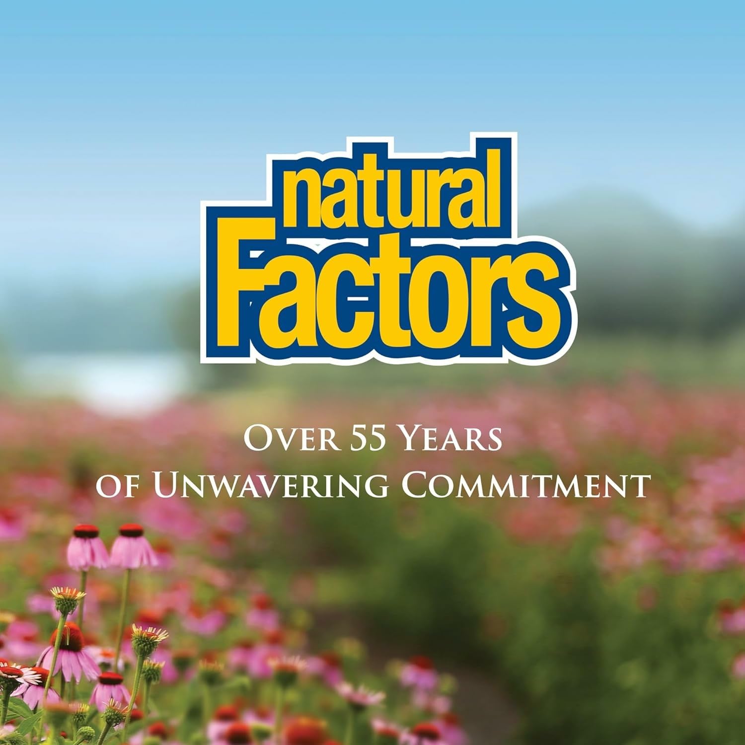 Natural Factors OsteoMove label highlights non-GMO and quality manufacturing.