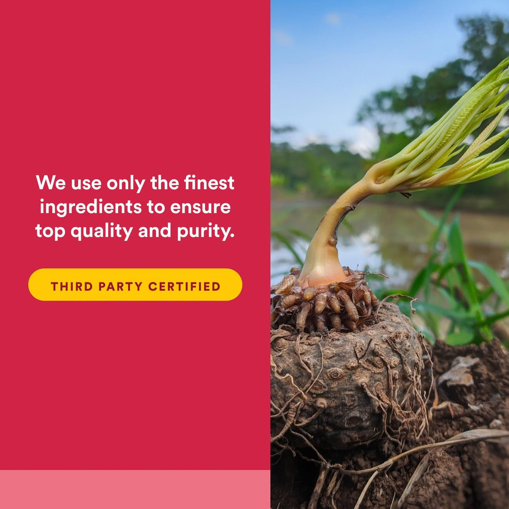 Natural Factors PGX Daily Ultra Matrix packaging highlight non-GMO purity.