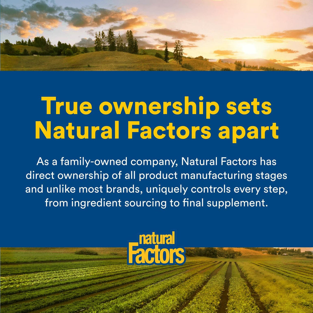 Natural Factors PGX Ultra Matrix Plus Soothe Digest lifestyle scene for mindful snacking.
