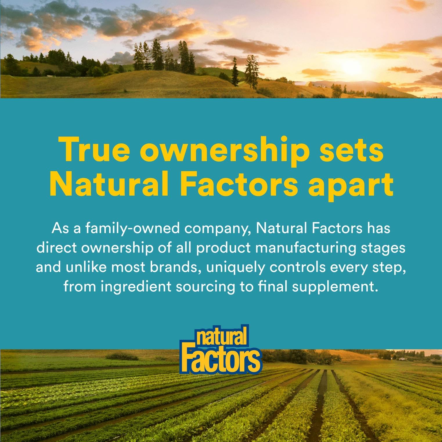 Natural Factors Phosphatidylcholine nature-bottle-scene suggests everyday use for balanced nutrition.