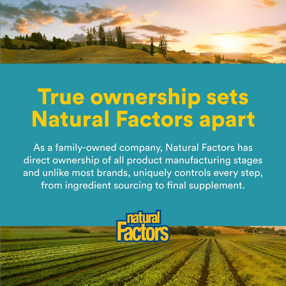 Natural Factors Phosphatidylcholine nature-bottle-scene suggests everyday use for balanced nutrition.