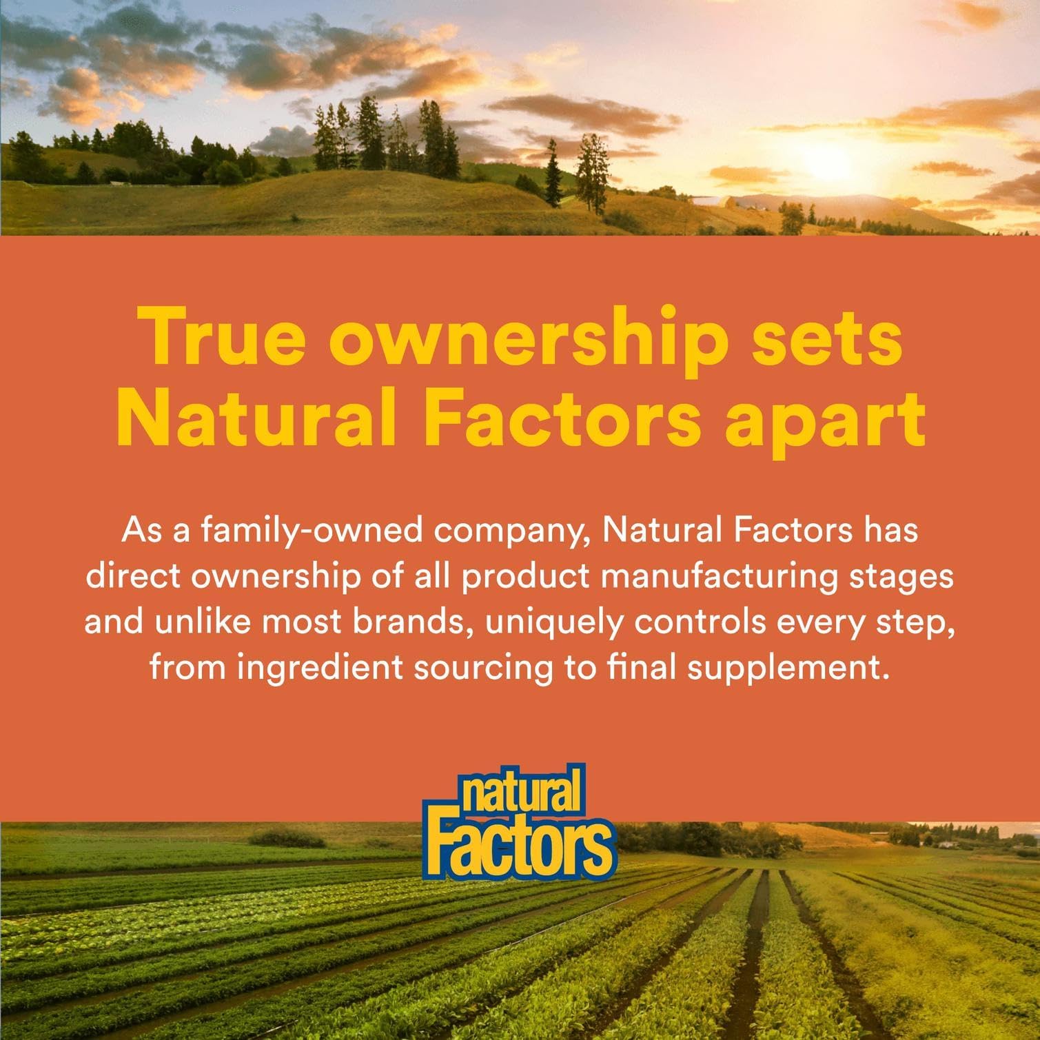 Natural Factors PQQ-10 product image demonstrating 60 servings value