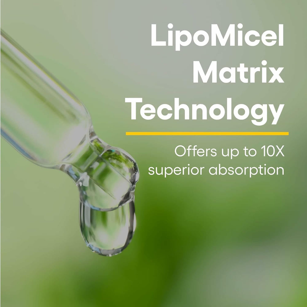 Natural Factors Quercetin Lipomicel Matrix illustration showing high absorption