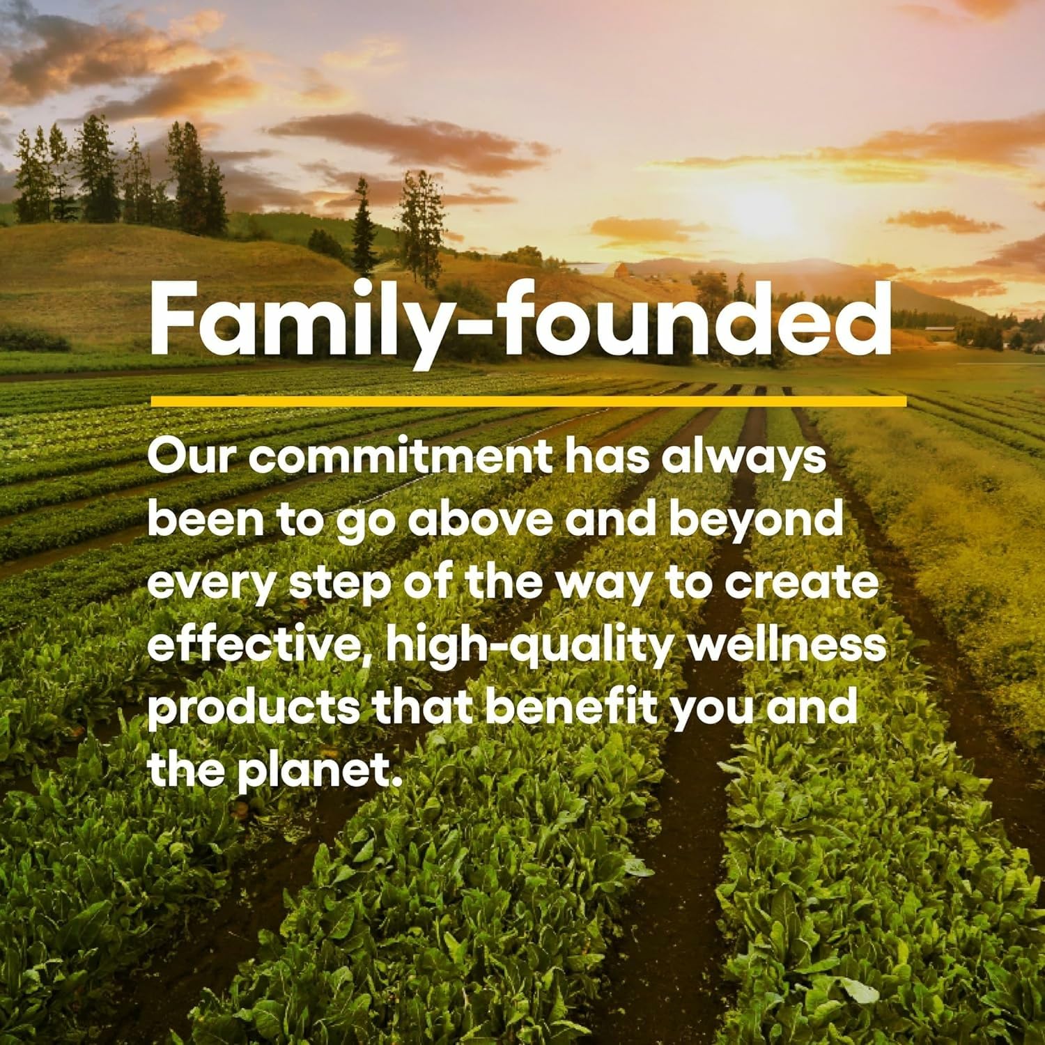 Ingredients panel of Natural Factors Quercetin Lipomicel Matrix highlighting Lipomicel technology