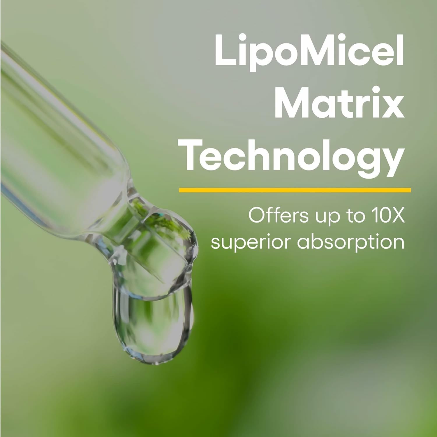 Natural Factors Quercetin Lipomicel Matrix capsule closeup – glossy, highly absorbable quercetin