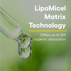 Natural Factors Quercetin Lipomicel Matrix capsule closeup – glossy, highly absorbable quercetin