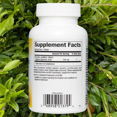 Natural Factors Quercetin Lipomicel Matrix softgels close-up for absorption