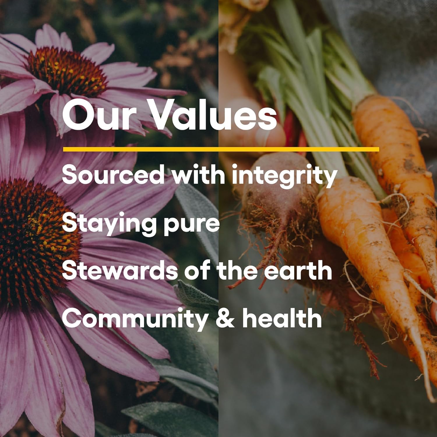 Natural Factors label and packaging highlight raw, farm-fresh, whole-food sources.