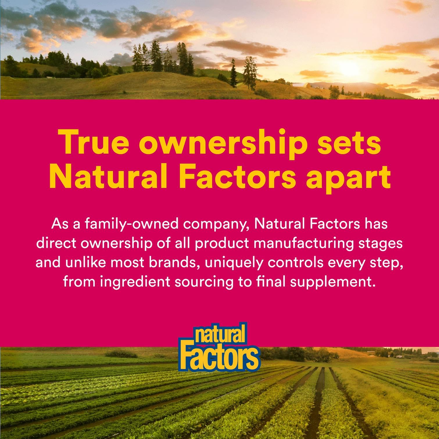 Natural Factors stevia-sweetened iron tablet for tastier daily use.