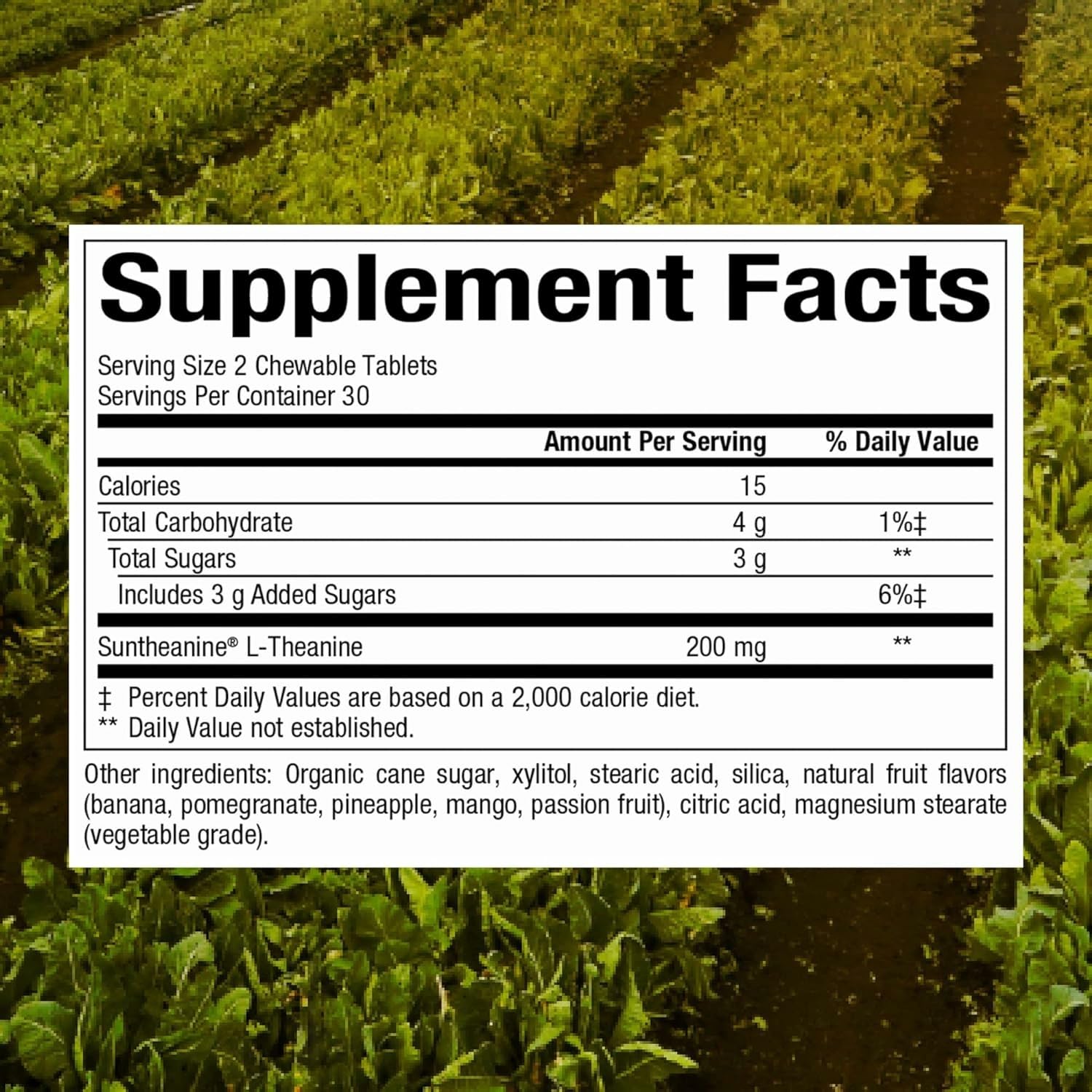 Natural Factors Suntheanine chewable tablets close-up for convenient daily calm.