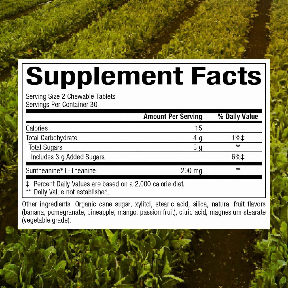 Natural Factors Suntheanine chewable tablets close-up for convenient daily calm.