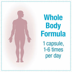 Natural Factors TravelBiotic capsules close-up emphasizes daily gut health support.