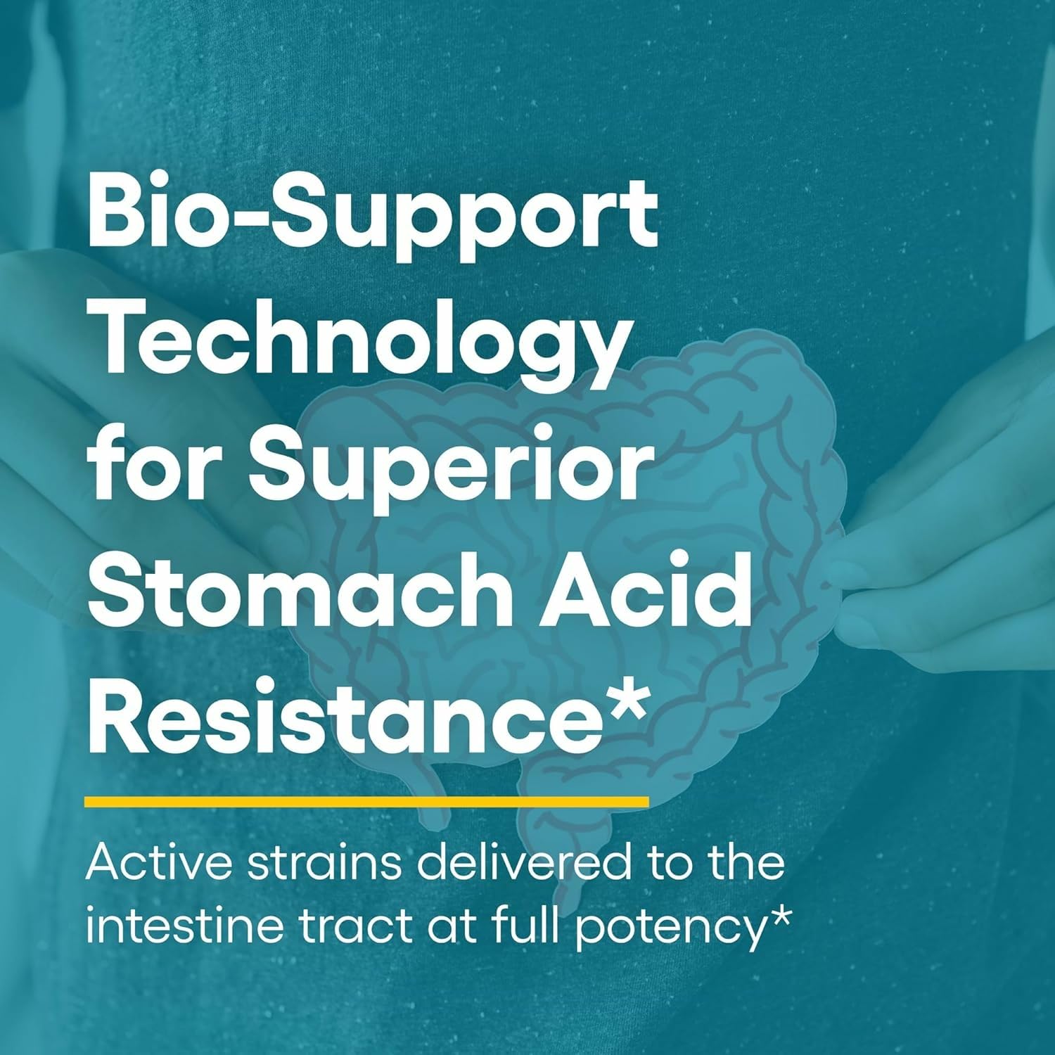 Natural Factors Ultimate Probiotic Women’s Every Day digestive balance visualization.