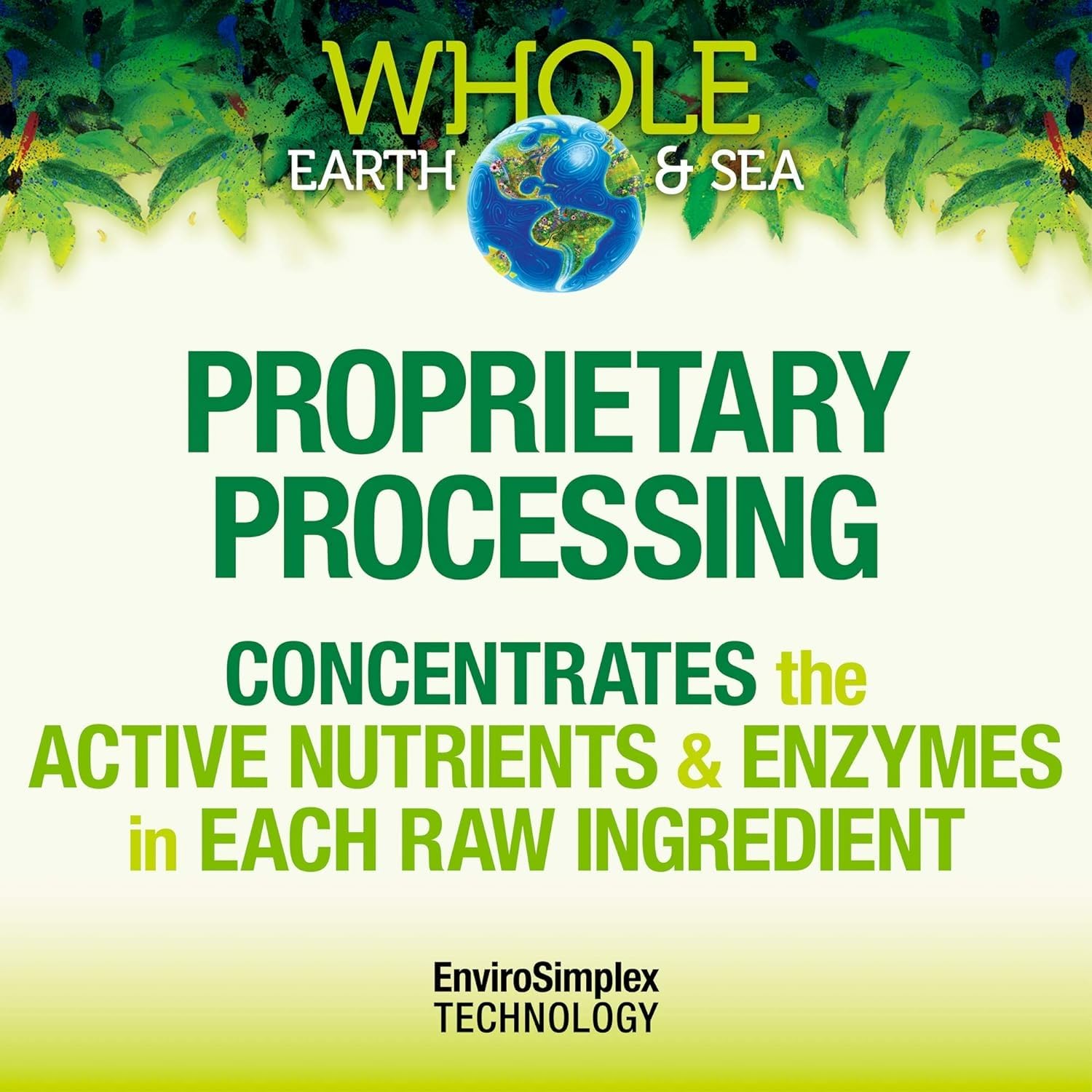 Natural Factors vegan whole-food supplement packaging communicates sustainable, plant-based nutrition.