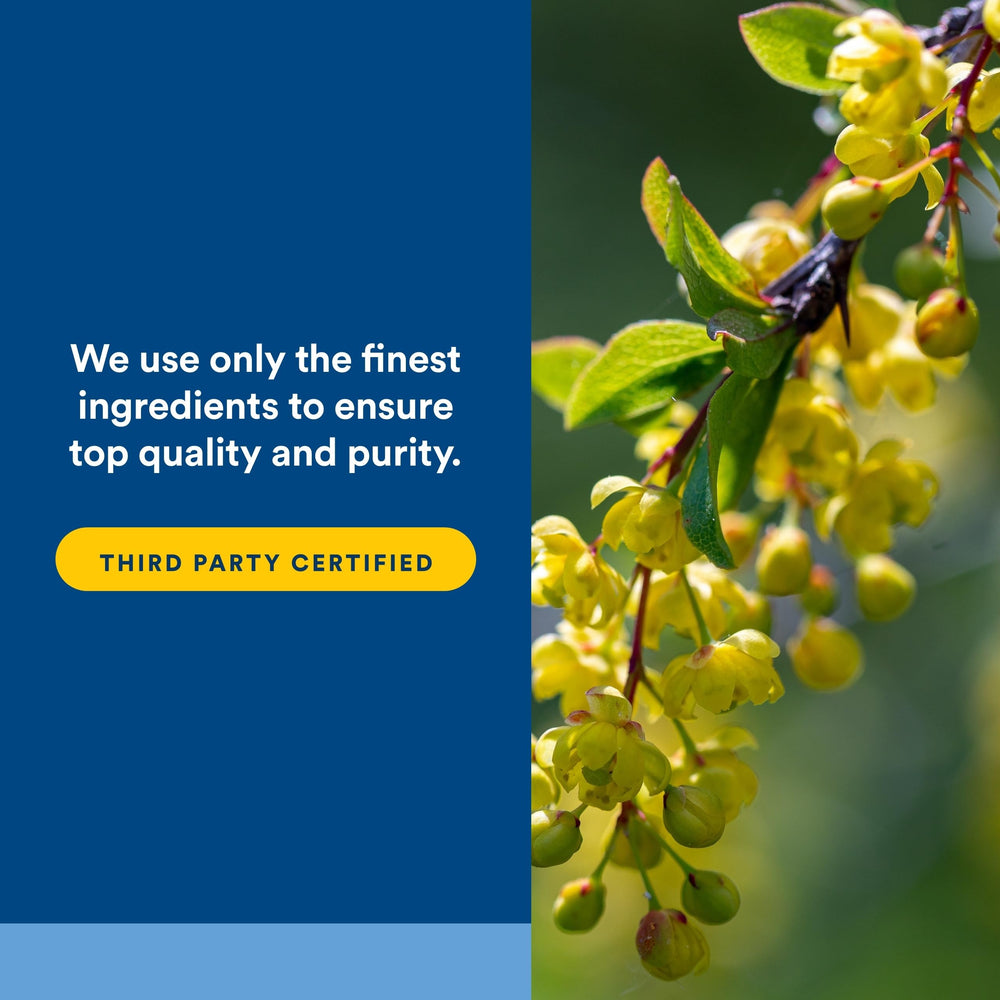 Vegan berberine capsules indicating dairy-free, plant-based supplement.