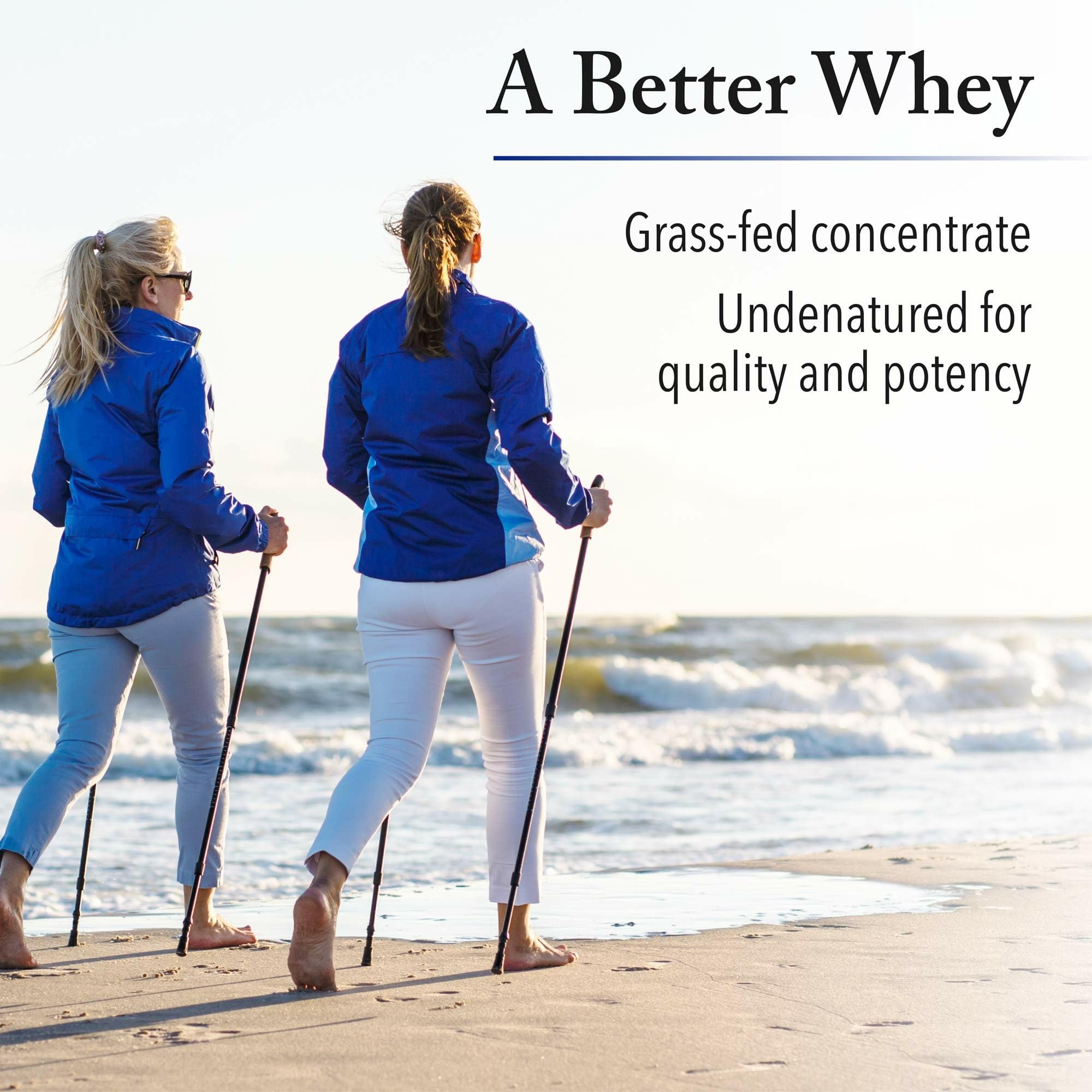 Natural Factors Whey Factors French Vanilla shaker cup ready for on-the-go shakes.