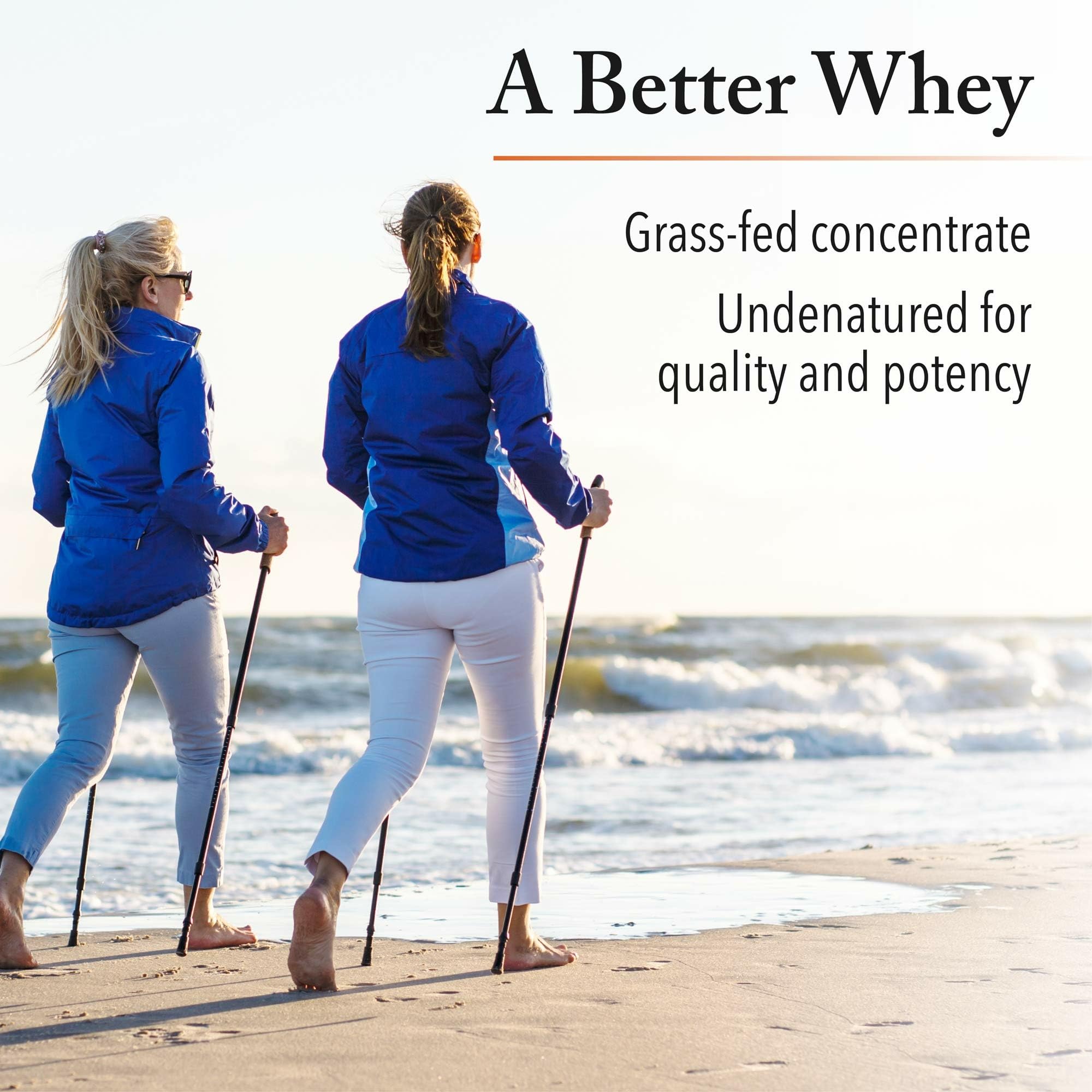 Natural Factors Whey Factors microfiltered whey delivers high-quality protein
