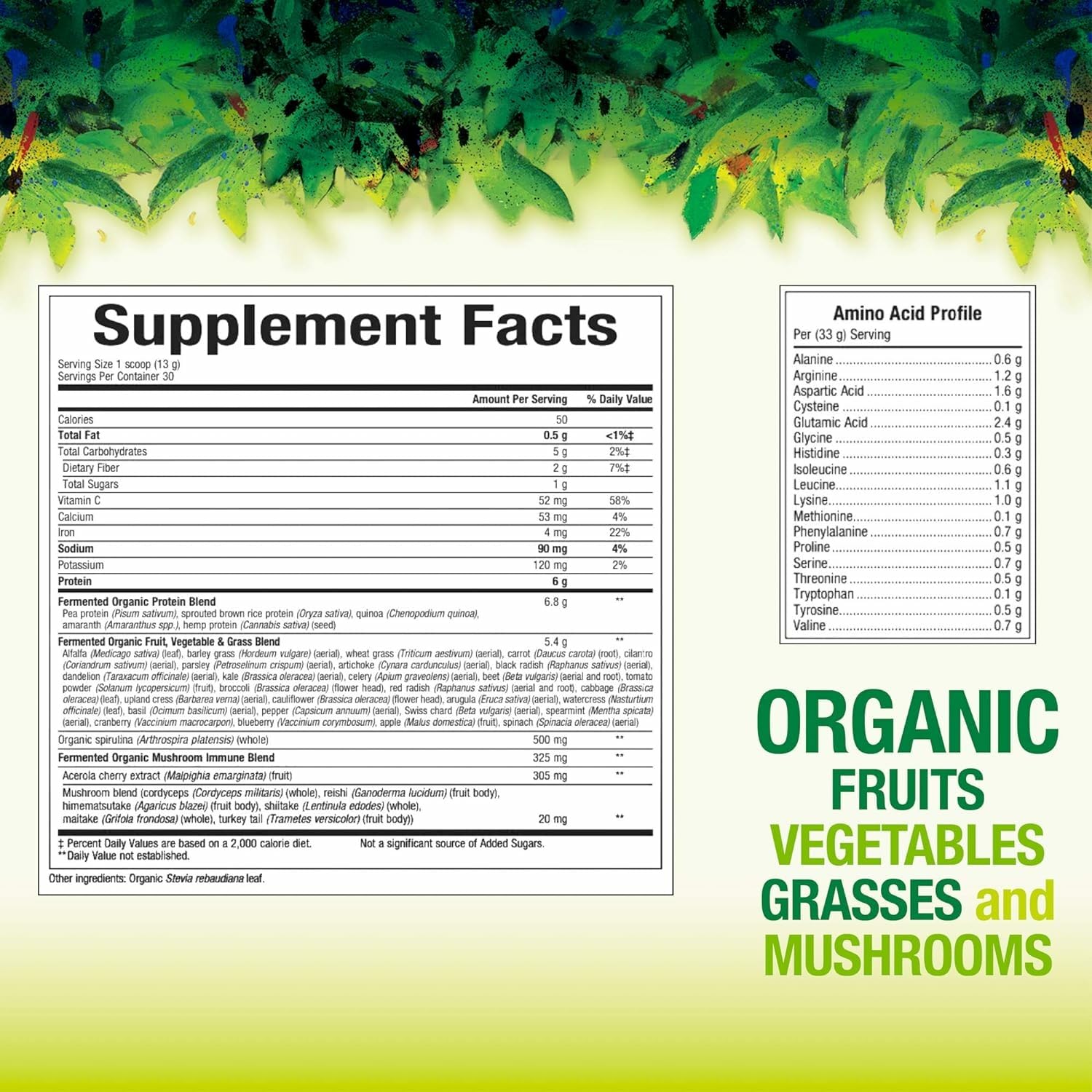 Natural Factors Whole Earth & Sea Greens scoop for simple daily servings