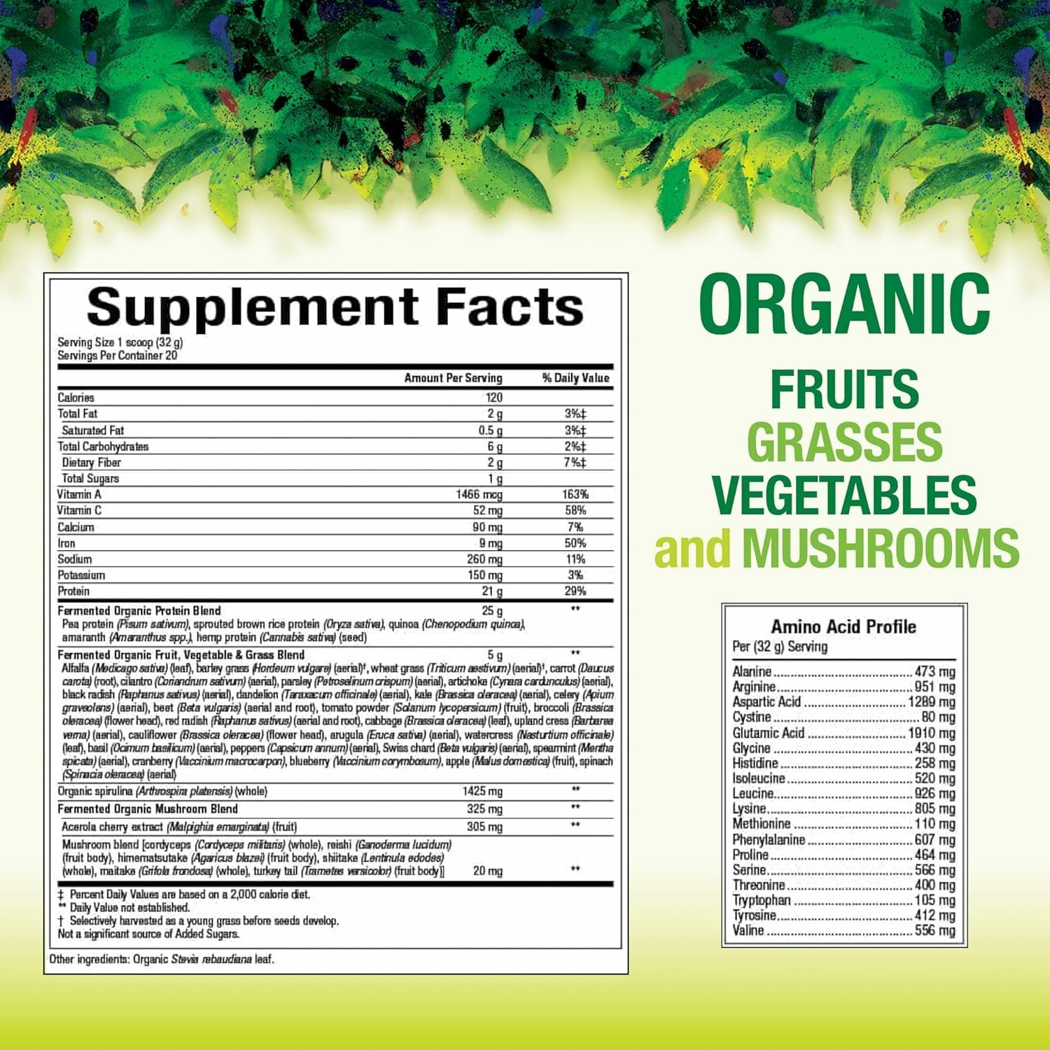 Natural Factors Whole Earth & Sea tin packaging close-up highlighting clean vegan ingredients