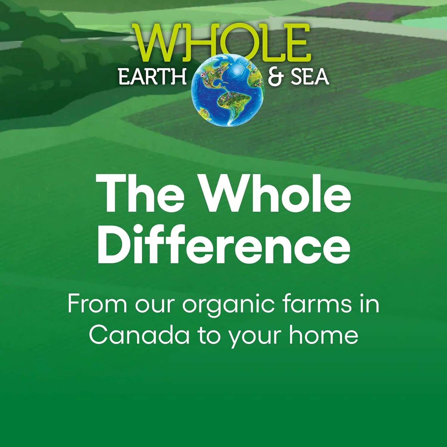 Ingredients panel focusing on brain and bone support in Natural Factors 50+ formula