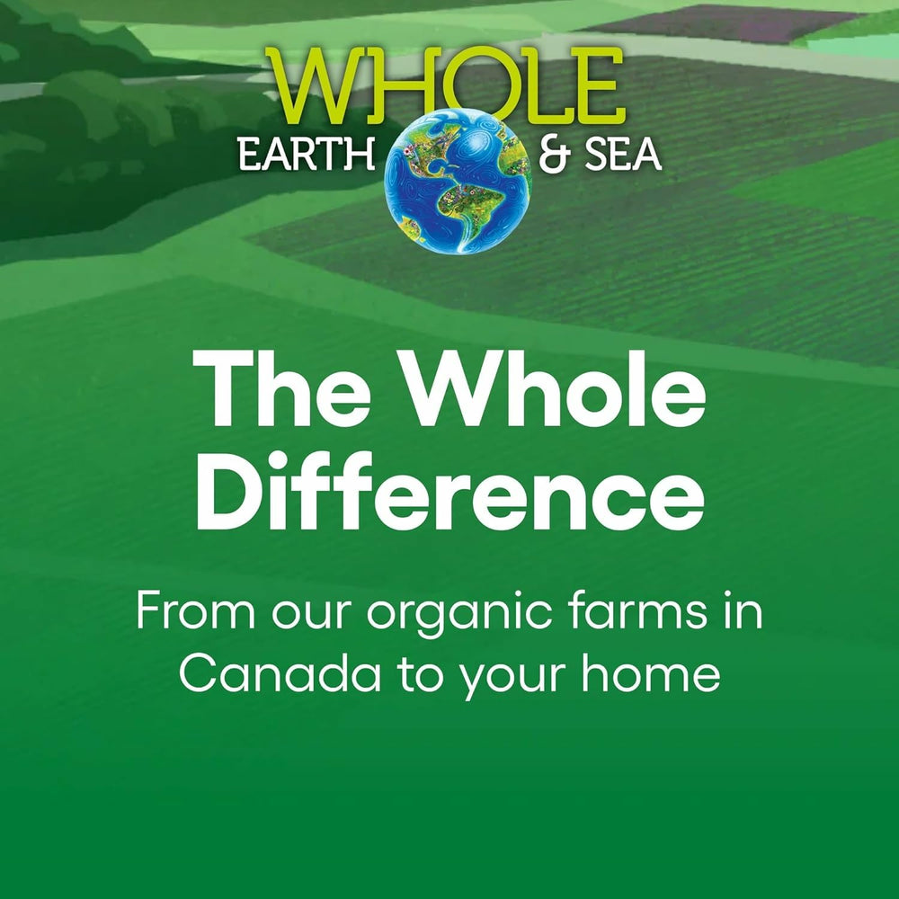 Ingredients panel focusing on brain and bone support in Natural Factors 50+ formula