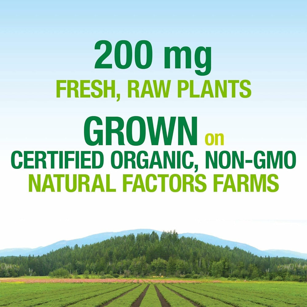 Natural Factors vegan prenatal formulation closeup, dairy-free and GMO-free attributes for clean nutrition.