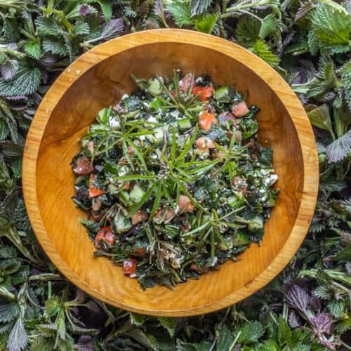 Natural Nettle Seed salad-topping shot adding earthy nutrients to meals.