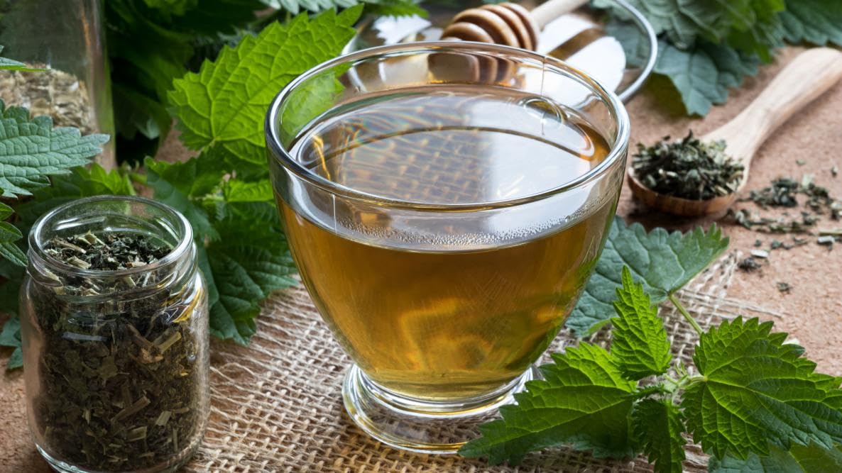 Natural Nettle Seed tea-brew setup, steeping for a warm herbal infusion.