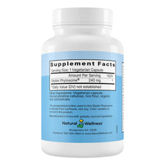 Natural Wellness Maximum Milk Thistle capsules highlighting vegan, non-GMO formula