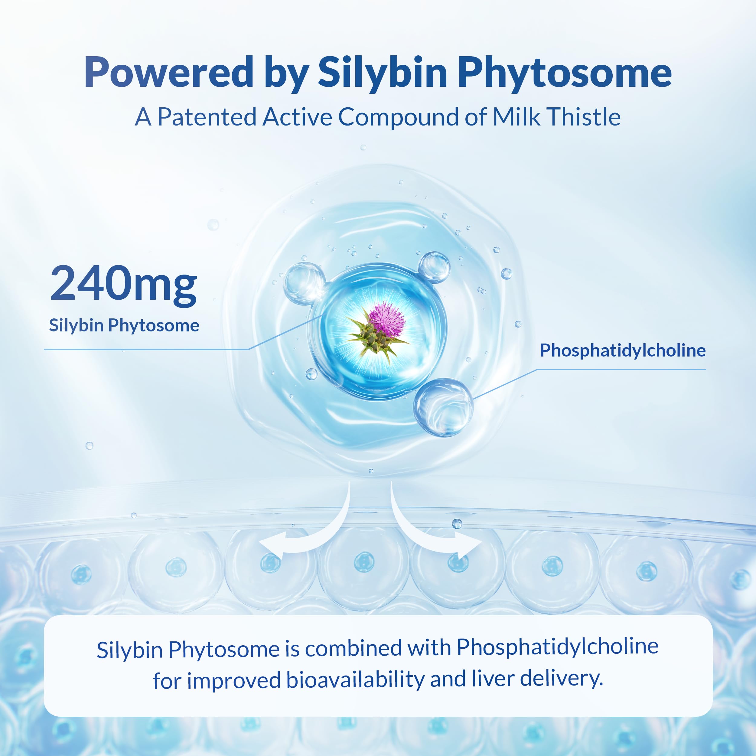 Natural Wellness Maximum Milk Thistle daily-use setup suggesting a simple routine
