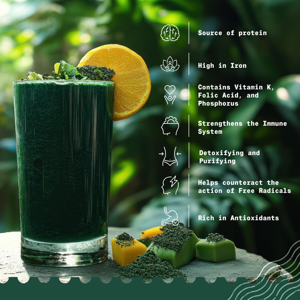 Scoop of NaturaleBio spirulina powder ready for shakes and recipes