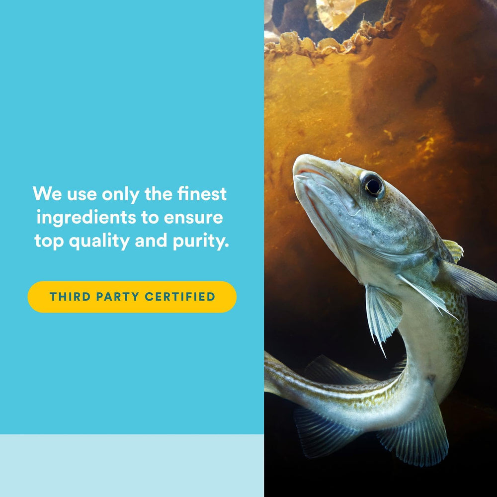 Gluten-free label on Natural Factors RxOmega-3 packaging