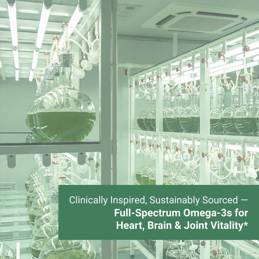 Illustration showing potential joint-support benefits of Naturalis omega-3