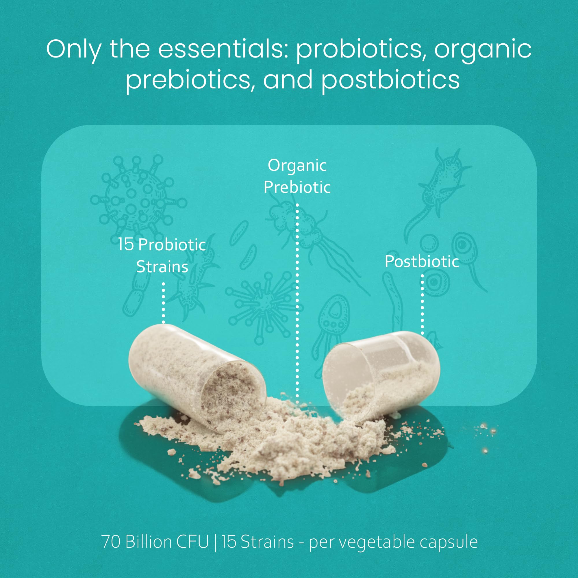 Gut balance illustration featuring NaturaLife Labs probiotic strains