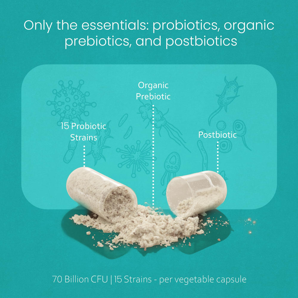 Gut balance illustration featuring NaturaLife Labs probiotic strains