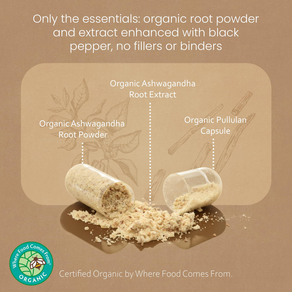 NaturaLife Labs root powder jar closeup reveals texture and color.