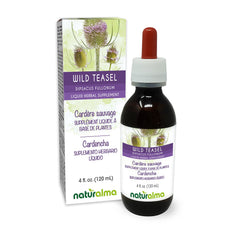 Naturalma Wild Teasel root bottle shows amber tincture for daily herbal support.