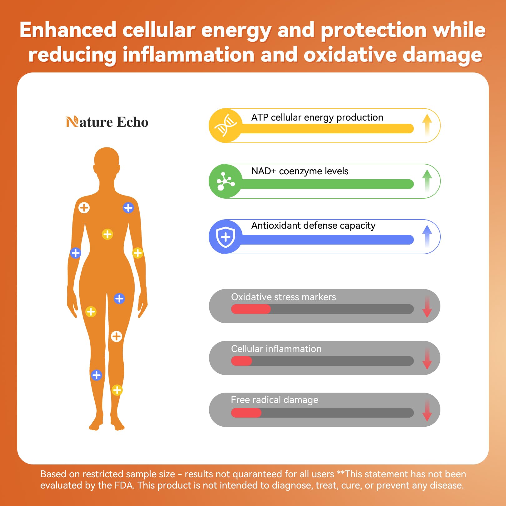 Nature Echo label details closeup — shows ingredients like astaxanthin and green tea extract.