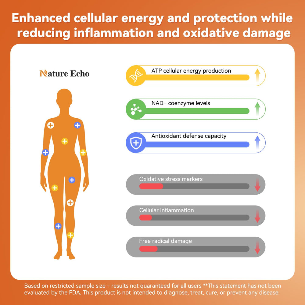 Nature Echo label details closeup — shows ingredients like astaxanthin and green tea extract.