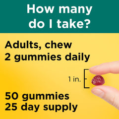 Nature Made Digestive Probiotics Energy B12 Gummies label highlights 4 billion CFUs per serving