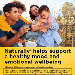 Packaging box for Nature Made SAM-e Complete 400 mg.