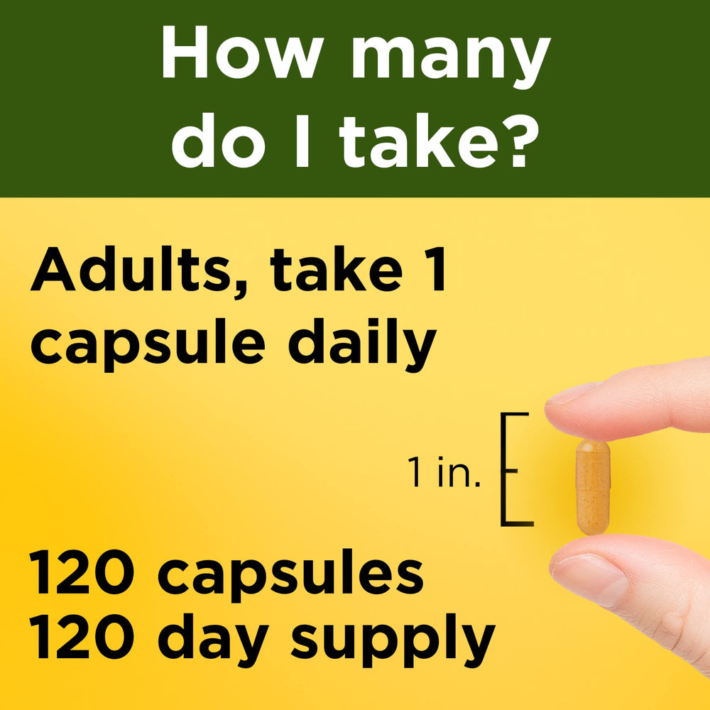 Label detail of Nature Made Turmeric Curcumin 500 mg showing standardized extract.