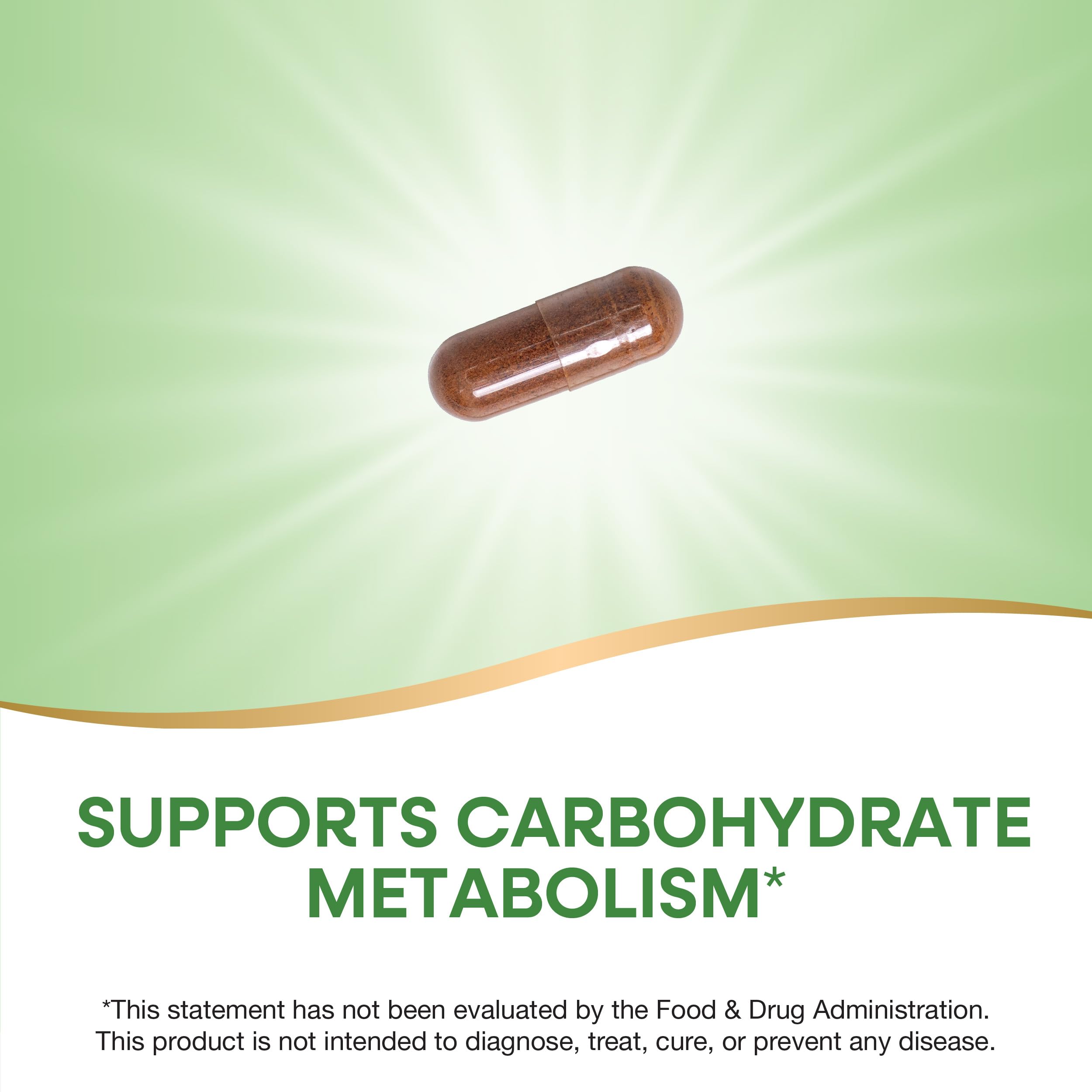 Gluten-free cinnamon supplement bottle from Nature's Way on a white background