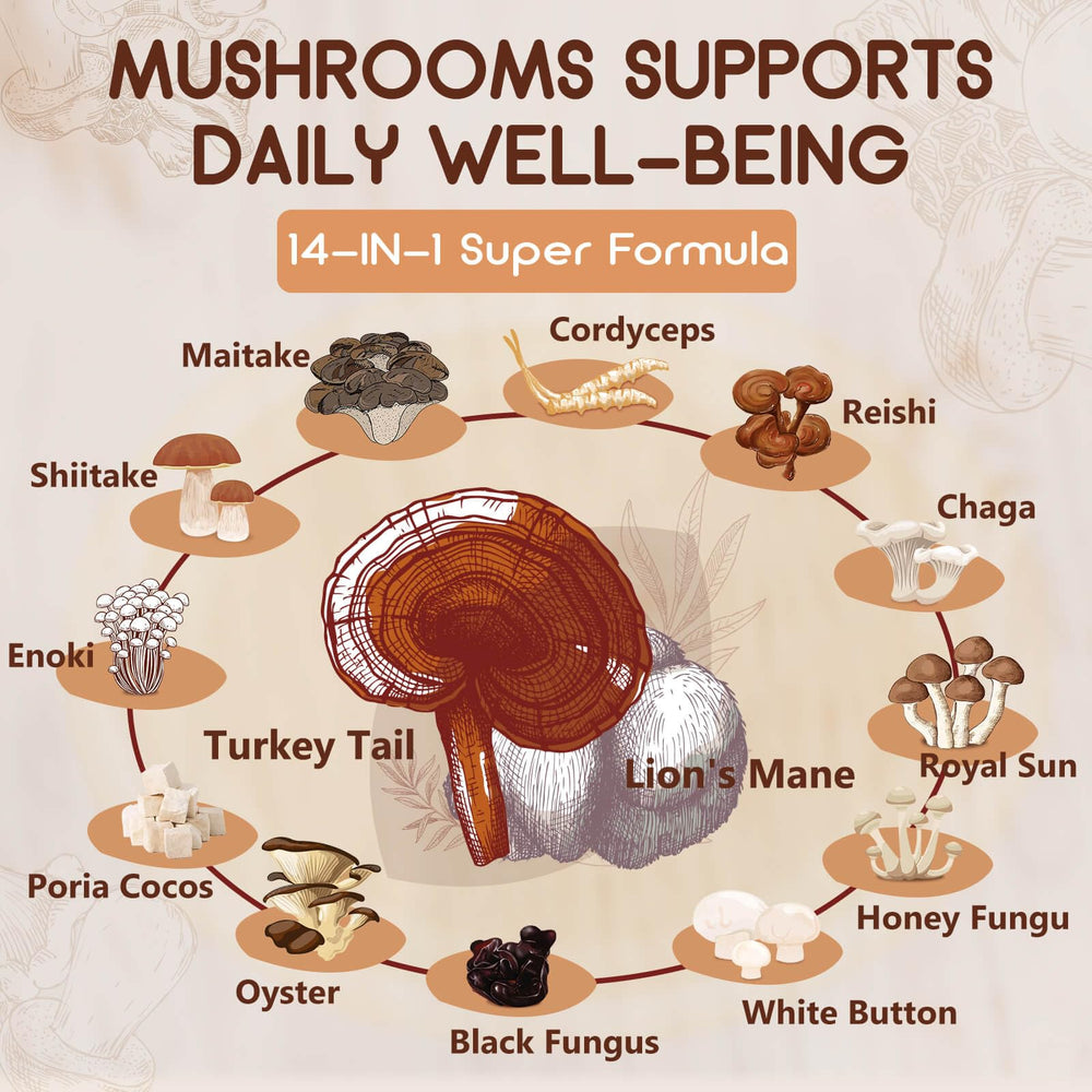Nature Target Energy and focus mushroom complex for daily routines
