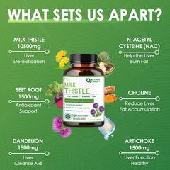 Nature Target Milk Thistle ingredients panel shows dandelion and artichoke benefits