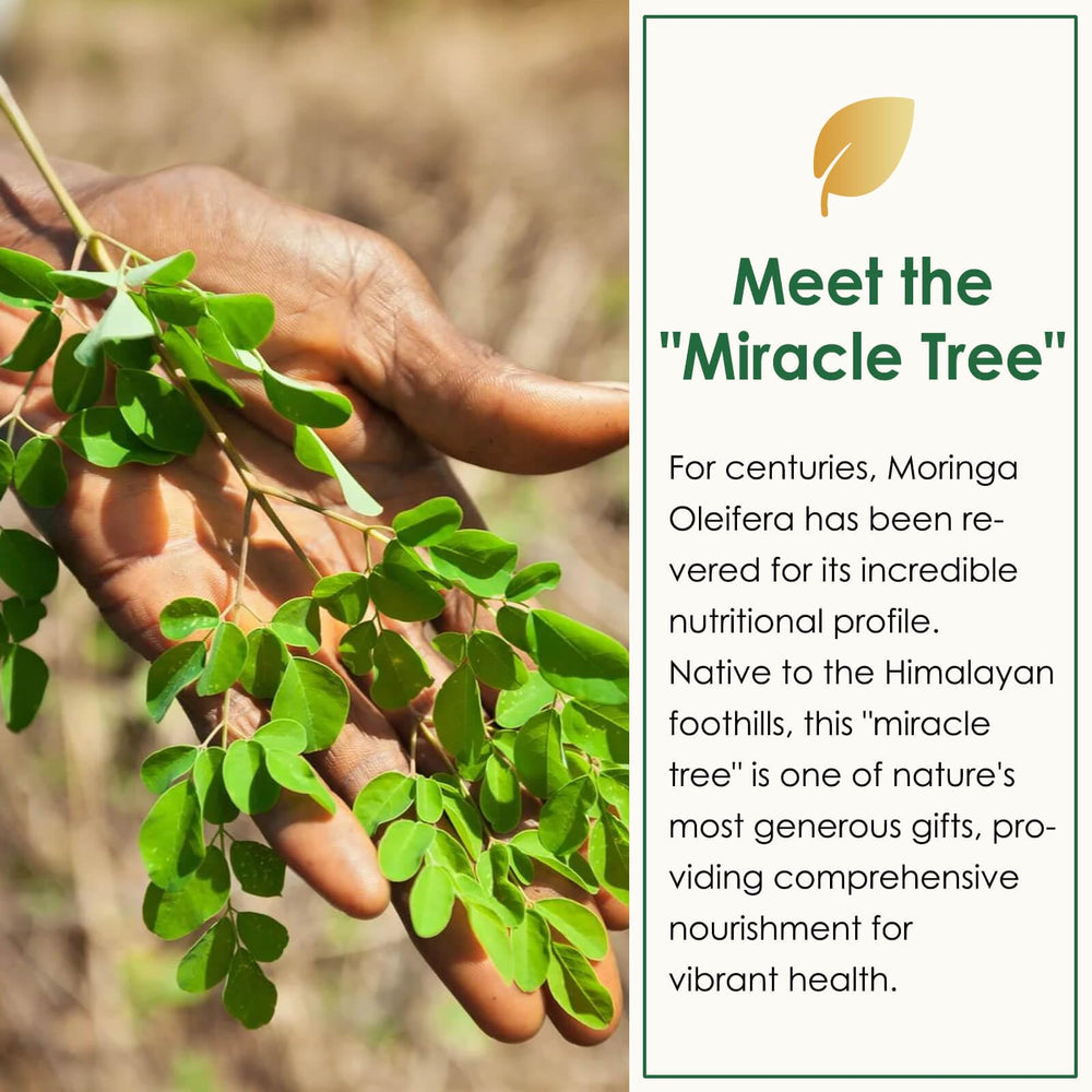 Nature Target Moringa capsules natural energy support during busy days.